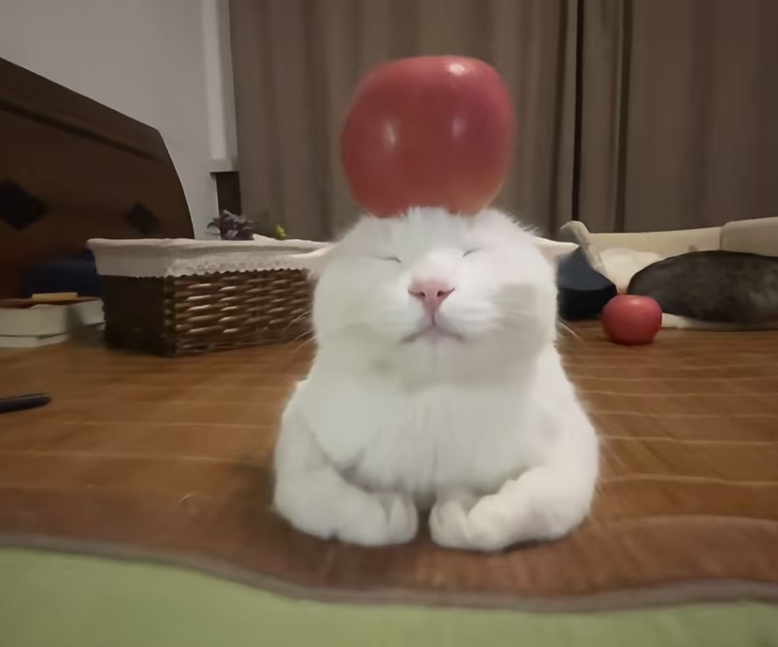 学习笔记示意图